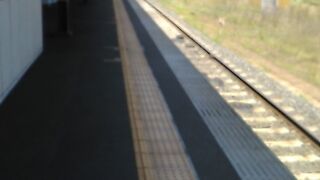 スイカは使用できました