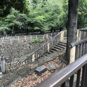 森林浴も楽しめる公園です。