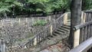 森林浴も楽しめる公園です。