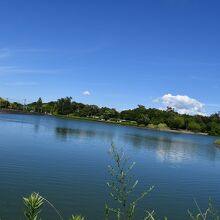 蜻蛉池公園