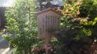 成学寺というお寺の境内にありました。