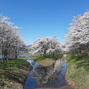 七ヶ宿ダム湖畔。春には桜が綺麗な公園が広がります。