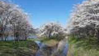 七ヶ宿ダム自然休養公園