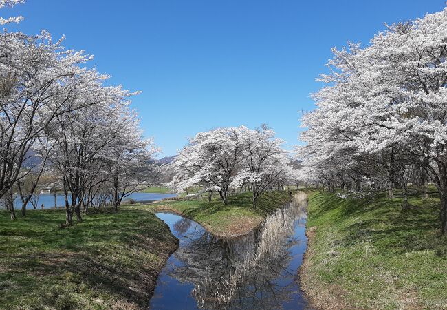 七ヶ宿ダム自然休養公園