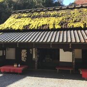 愛宕神社の一の鳥居近く