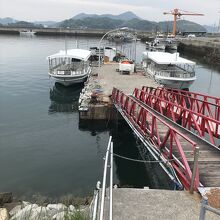 この船、最高すぎます！