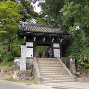 雨引観音恒例のアジサイ祭りを楽しむ