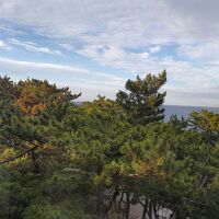 部屋から太平洋を望む