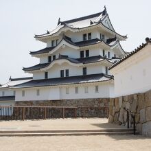 城壁から望む天守閣