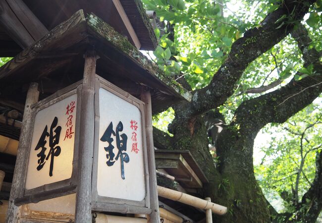 京都の老舗の料亭せっかくなら個室利用が良かったかも・・・