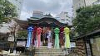 夏詣　七夕短冊願い事