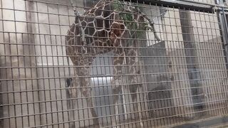 入場時間の予約が必要