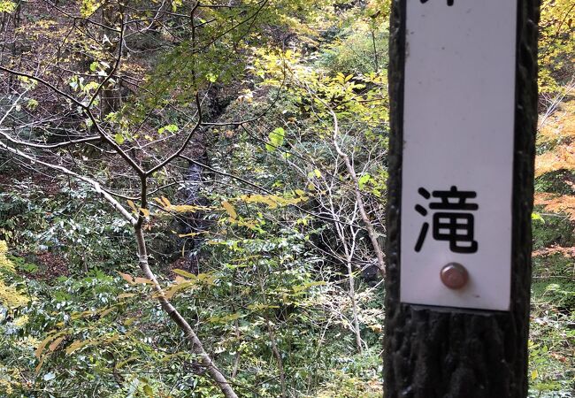 白糸