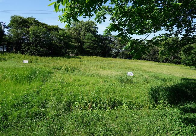 史跡公園となるようです。