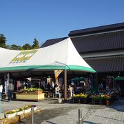 いいで牛が出迎える道の駅 （道の駅 いいで めざみの里観光物産館） 