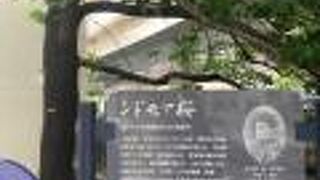 ワシントンの桜