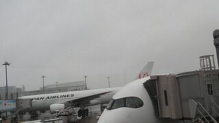 主要航空会社はＪＡＬです