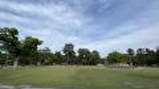 平安神宮の前に広がる緑のスペース