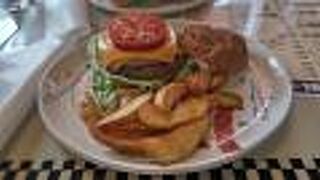 ヨコスカシェル