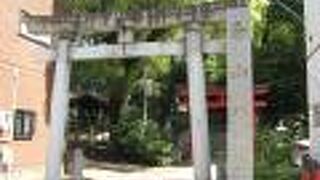 巨木も多く静か