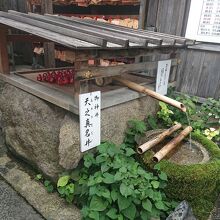 お水を飲んでお願いしてきました