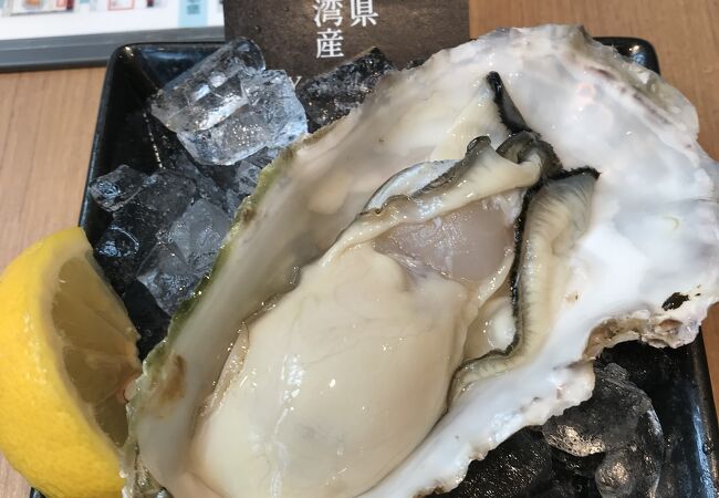 おすすめは生牡蠣