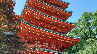 福岡大仏があります。