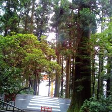 雨の日の平和の鳥居