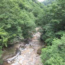 鹿股川沿いの「スッカン沢」。この先に滝があります