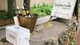 軽井沢らしいインテリアのインド＆ネパールカレー店