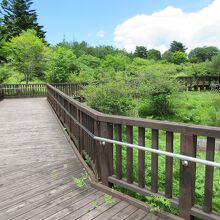 山の駅たかはらの遊歩道