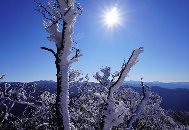 高見山