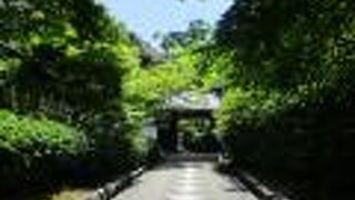 南禅寺の奥にある塔頭寺院