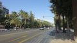 名前のとおり緑でいっぱい