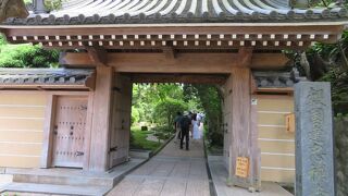 見事な竹林と庭園の禅寺