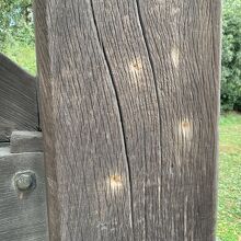 なまなましい弾痕の跡が今でも確認できます。