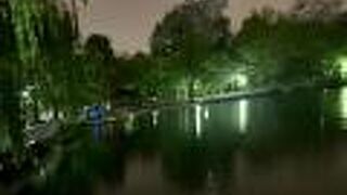 夜の中島公園