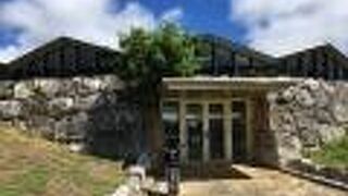 南大東島の自然を紹介