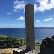 国の天然記念物の亜熱帯植物群落