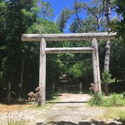 ダイトウオオコウモリの生息地