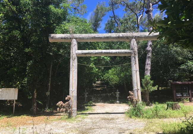 ダイトウオオコウモリの生息地