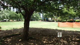 図書館や小学校が隣接