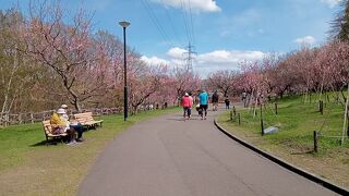 平岡公園