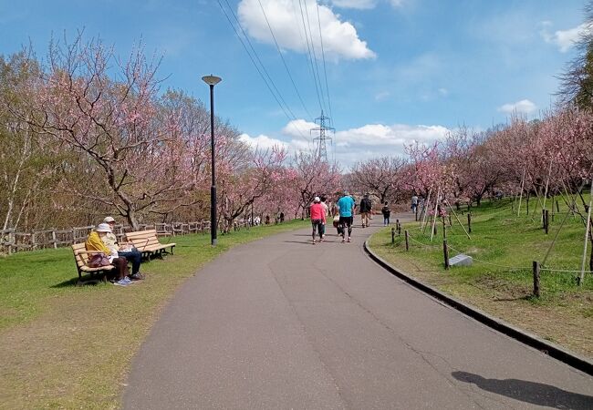 平岡公園