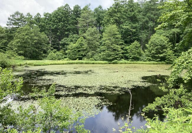 戸隠 鬼無里の公園 植物園 クチコミ人気ランキング フォートラベル 長野県