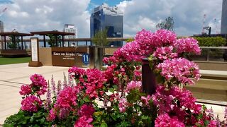 ステーションシネマ前のパブリックスペースから、絶景が楽しめます