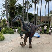 恐竜たち