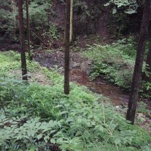 登山道に沿って流れる平井川