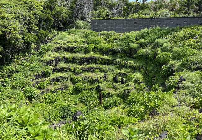 八重根のメットウ井戸