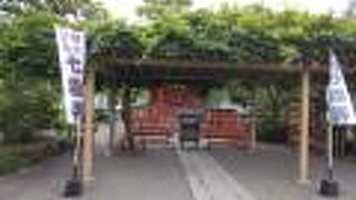 鎌倉江の島七福神の内のひとつ。花手水も